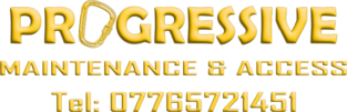 Progressive Access logo
